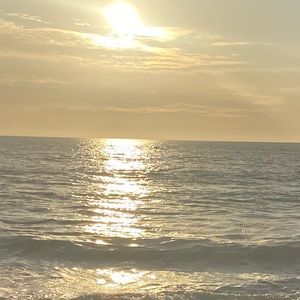 Meet your Posher, Justine